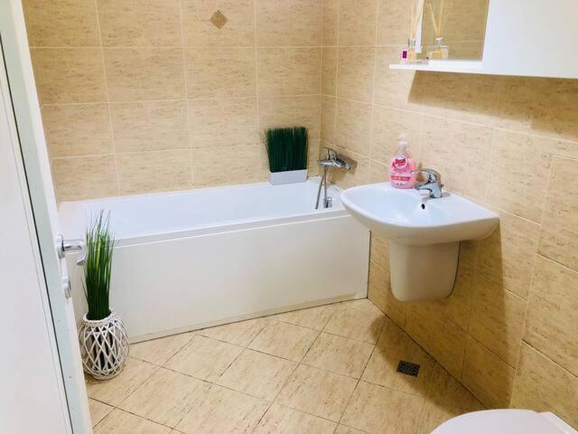 בראשוב Joy City Stay Stefan Baciu 10 מראה חיצוני תמונה